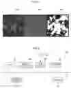 Fig. 06 - Information processing device, information processing method, and recording medium recorded with information processing program preliminary class