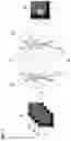 Fig. 03 - IMAGE GENERATION SYSTEM, IMAGE GENERATION METHOD, AND NON-TRANSITORY COMPUTER-READABLE STORAGE MEDIUM