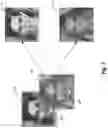 Fig. 04 - Transferring hairstyles between portrait images utilizing deep latent representations