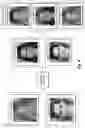 Fig. 05 - Transferring hairstyles between portrait images utilizing deep latent representations