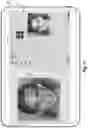 Fig. 12 - Transferring hairstyles between portrait images utilizing deep latent representations