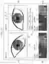 Fig. 13 - Information processing system, information processing method, and storage medium