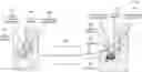 Fig. 01 - Object relighting using neural networks