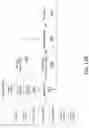 Fig. 36 - Inferred shading mechanism