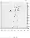 Fig. 11 - Body shape and pose estimation via volumetric regressor for raw three dimensional scan models