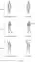 Fig. 13 - Body shape and pose estimation via volumetric regressor for raw three dimensional scan models