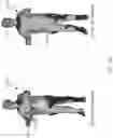 Fig. 15 - Body shape and pose estimation via volumetric regressor for raw three dimensional scan models
