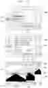 Fig. 12 - Image output device