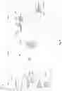 Fig. 08 - Simultaneous playback of continuous video recordings from multiple recording devices