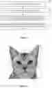 Fig. 02 - METHOD AND DEVICE FOR PROCESSING IMAGE HAVING ANIMAL FACE
