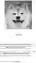 Fig. 03 - METHOD AND DEVICE FOR PROCESSING IMAGE HAVING ANIMAL FACE