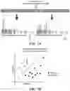 Fig. 10 - System and method of facial analysis