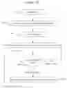 Fig. 13 - Functional control and age verification of electronic devices through visual communication