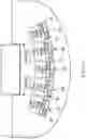Fig. 20 - MANAGEMENT SYSTEM