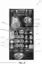 Fig. 09 - Gaming device with incrementable multiplier meter and transitional indicator