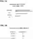 Fig. 05 - Patient risk notification system