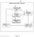 Fig. 10 - Communication control apparatus, communication system, communication control method, and non-transitory computer-readable medium