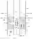 Fig. 07 - Moving-object detection apparatus for vehicle
