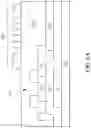 Fig. 07 - Method for testing touch display panel