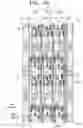 Fig. 09 - Display apparatus including power line comprising first power line in first direction and second power line in second direction