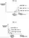 Fig. 12 - Display method and display apparatus