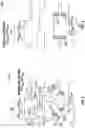 Fig. 12 - Systems and methods involving write training to improve data valid windows