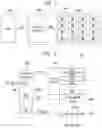 Fig. 02 - Memory device and method of operating the same