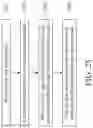 Fig. 29 - Dynamic random access memory and method thereof