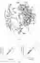 Fig. 05 - PREDICTING SKIN AGE BASED ON THE ANALYSIS OF SKIN FLORA AND LIFESTYLE DATA