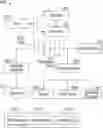 Fig. 01 - DEEP LEARNING BASED VARIANT CALLING USING MACHINE LEARNING