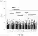 Fig. 09 - SPECIFIC STRUCTURAL VARIANTS DISCOVERED WITH NON-MENDELIAN INHERITANCE