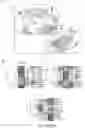Fig. 11 - SPECIFIC STRUCTURAL VARIANTS DISCOVERED WITH NON-MENDELIAN INHERITANCE
