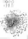 Fig. 24 - Methods of treating a subject suffering from rheumatoid arthritis based in part on a trained machine learning classifier