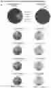 Fig. 18 - METHODS OF IDENTIFYING GENETIC VARIANTS