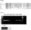 Fig. 58 - METHODS OF IDENTIFYING GENETIC VARIANTS