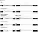 Fig. 63 - METHODS OF IDENTIFYING GENETIC VARIANTS