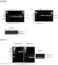 Fig. 68 - METHODS OF IDENTIFYING GENETIC VARIANTS