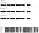 Fig. 76 - METHODS OF IDENTIFYING GENETIC VARIANTS