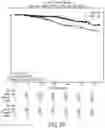 Fig. 41 - Systems and Methods for Homogenization of Disparate Datasets