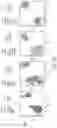 Fig. 58 - Systems and Methods for Homogenization of Disparate Datasets