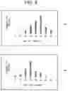 Fig. 07 - Image diagnosis supporting device and image processing method