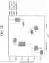 Fig. 33 - SYSTEMS AND METHODS FOR PREDICTIVE MODELING OF PEOPLE MOVEMENT AND DISEASE SPREAD UNDER COVID AND PANDEMIC SITUATIONS
