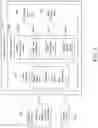 Fig. 06 - COLLABORATIVE SMART SCREEN