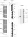 Fig. 02 - A cladding tube for a fuel rod for nuclear reactors