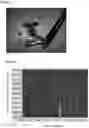 Fig. 04 - ION SOURCE INCLUDING STRUCTURED SAMPLE FOR IONIZATION