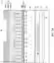 Fig. 04 - Metal hard masks for reducing line bending