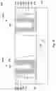 Fig. 14 - Semiconductor device having work function metal stack