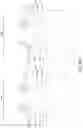 Fig. 45 - Masking layer with post treatment