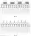 Fig. 07 - Method for cutting off FIN field effect transistor