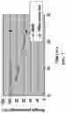 Fig. 08 - Method for improving etching rate of wet etching